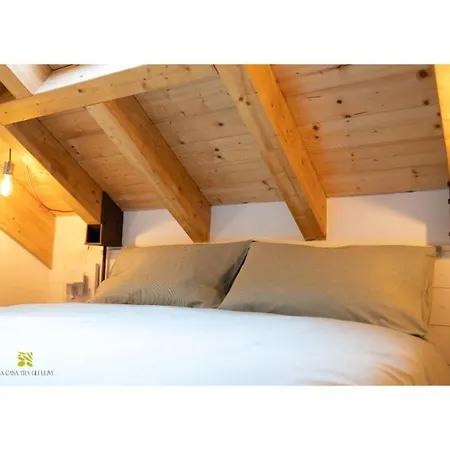 La Casa Tra Gli Ulivi Apartment *